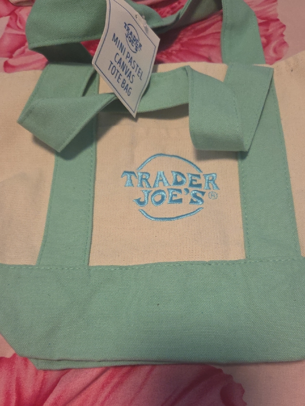 Trader Joe's Mini Pastel Canvas Tote Bag - Mint & Cream